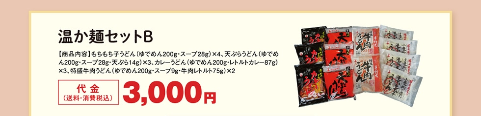 温か麺セットB　代金（送料・消費税込）3,000円