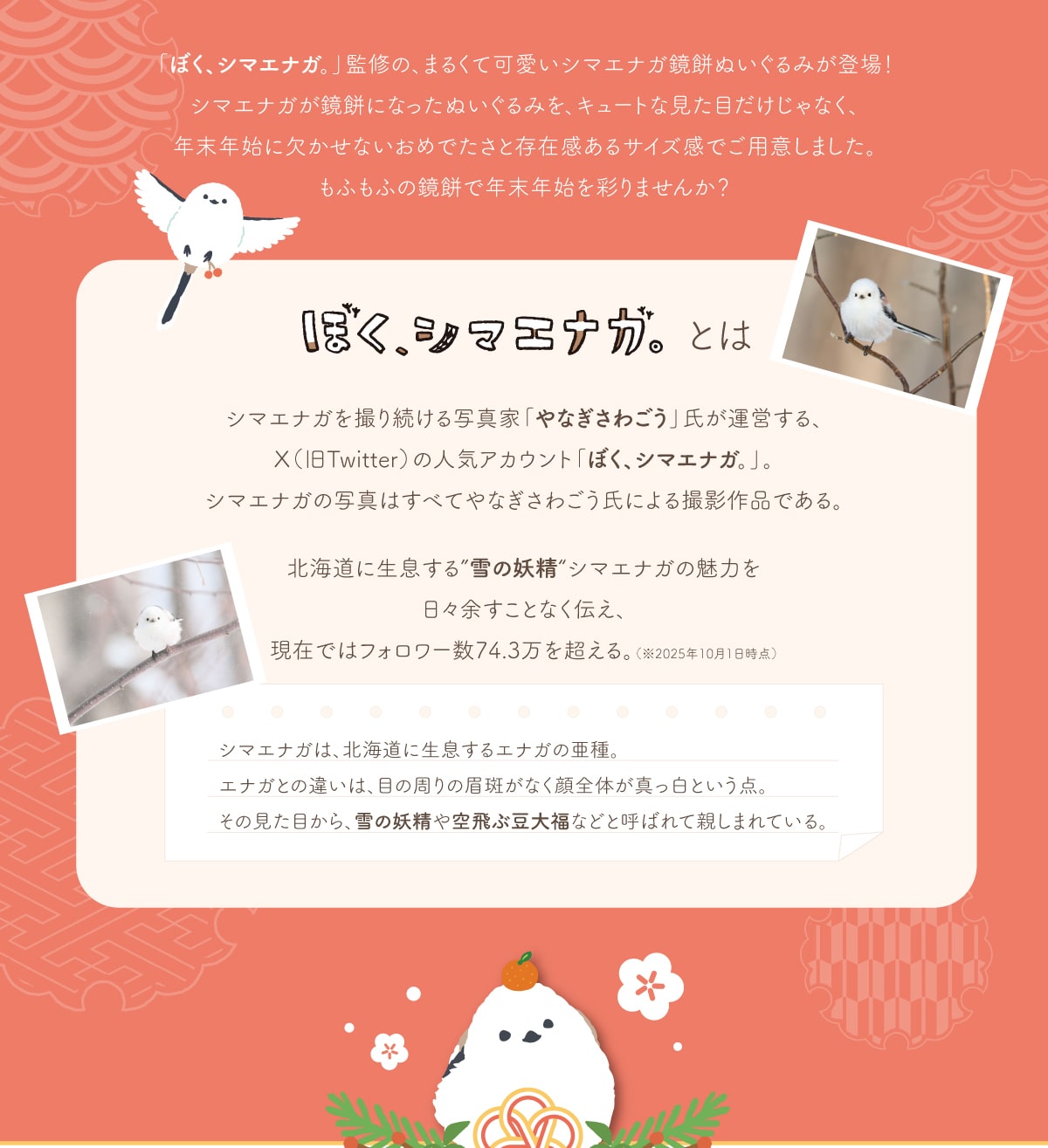 uڂAV}GiKBvďĆA܂邭ĉV}GiK݂ʂ݂o!V}GiK݂ɂȂʂ݂AL[gȌڂȂANNnɌȂ߂łƑ݊TCYłpӂ܂Bӂӂ݂̋ŔNNnʂ܂?ڂAV}GiKƂ̓V}GiKB葱ʐ^ƁuȂ킲v^cAX(Twitter)̐lCAJEguڂAV}GiKvBV}GiK̎ʐ^ׂ͂ĂȂ킲ɂBeiłBkCɐh̗dhV}GiK̖͂X]ƂȂ`A݂ł̓tH[74.3𒴂B(2025N101_)V}GiḰAkCɐGiK̈BGiKƂ̈Ⴂ́Aڂ̎̔ȂŜ^Ƃ_B̌ڂA̗dԓ啟ȂǂƌĂ΂Đe܂ĂB