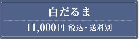 ������� 11,000�~