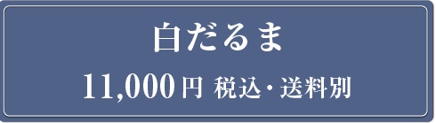 ������� 11,000�~
