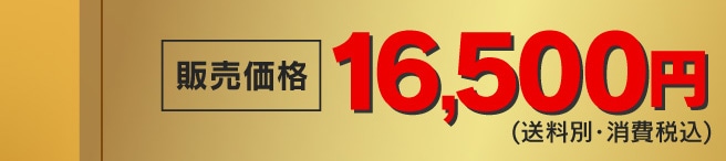 �̔����i 16,500�~(�����ʁE����ō�)