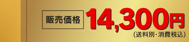 �̔����i 14,300�~(�����ʁE����ō�)