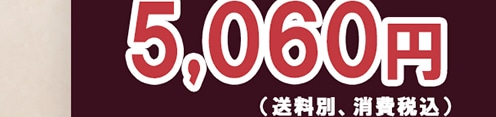 5,060円(送料別、消費税込)