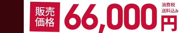 �̔����i 66,000�~�@����� ��������
