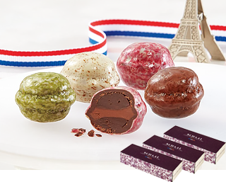 ���V���[�����}�J�����`���R���[�g