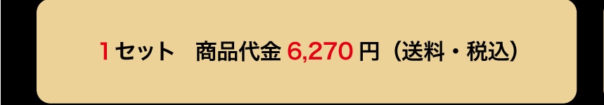 1�Z�b�g ���i��� 6,270�~ (�����E�ō�)