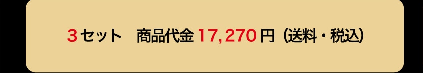 3�Z�b�g ���i��� 17,270�~ (�����E�ō�)