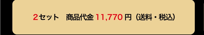2�Z�b�g ���i��� 11,770�~ (�����E�ō�)