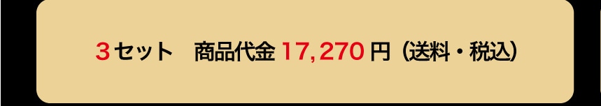 3�Z�b�g ���i��� 17,270�~ (�����E�ō�)