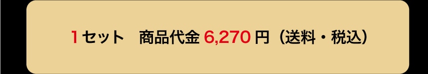 1�Z�b�g ���i��� 6,270�~ (�����E�ō�)