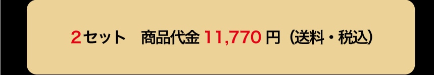 2�Z�b�g ���i��� 11,770�~ (�����E�ō�)
