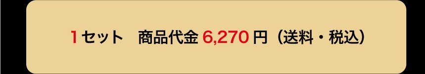 1�Z�b�g ���i��� 6,270�~ (�����E�ō�)
