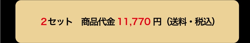 2�Z�b�g ���i��� 11,770�~ (�����E�ō�)