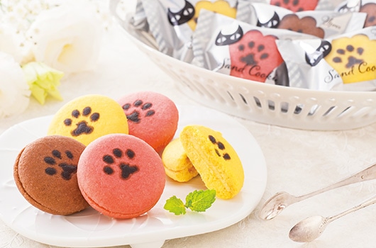 ��CAFE OHZAN���L���[�u���X�N5���J����