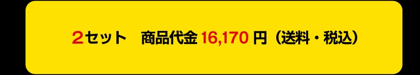 2�Z�b�g ���i��� 16,170�~ (�����E�ō�)