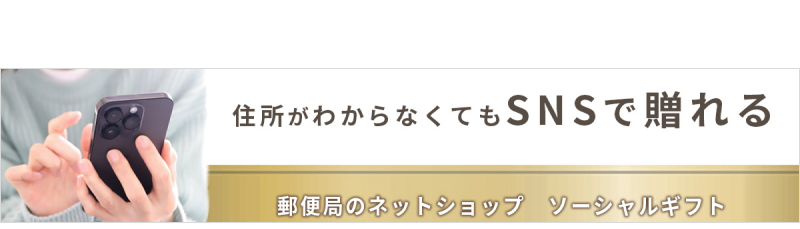 �\�[�V�����M�t�g�X�g�A