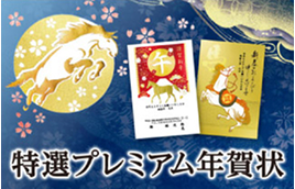 ���I�v���~�A���N���