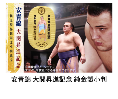 ���� ��֏��i�L�O ����������