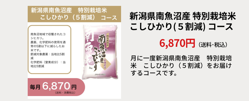 �V�����싛���Y�@���ʍ͔|�ā@�����Ђ���i�T�����j�R�[�X