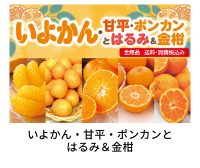 ���悩��E�Õ��E�|���J���Ƃ͂�݁�����