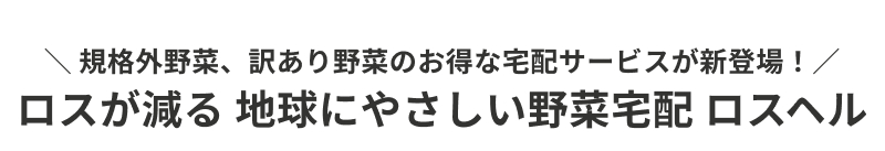 ���X�w���^���X������ �n���ɂ₳������ؑ�z