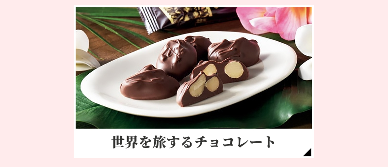 ���E�𗷂���`���R���[�g