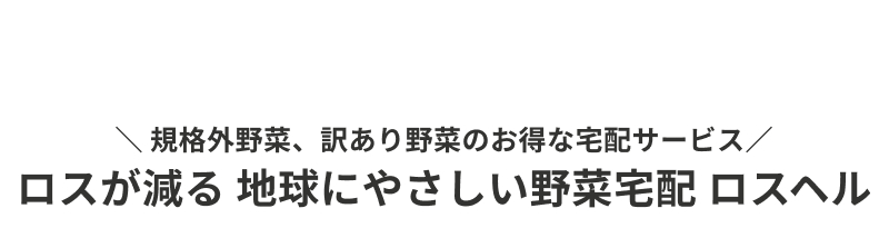 ���X�w���^���X������ �n���ɂ₳������ؑ�z