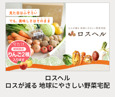 ���X�w��