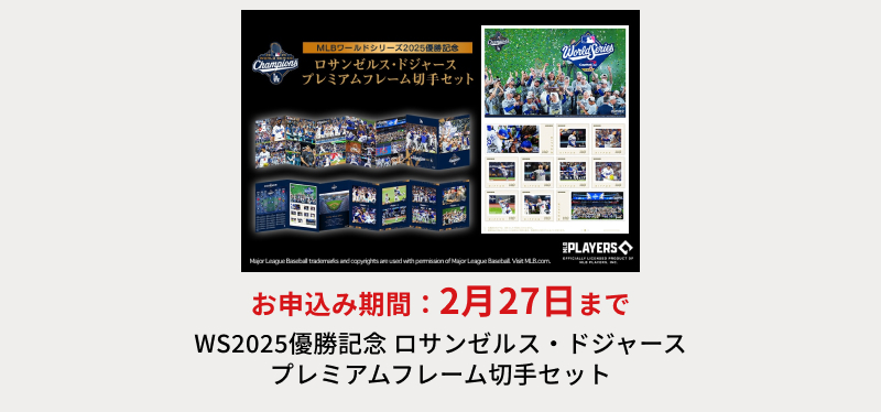 WS2025�D���L�O ���T���[���X�E�h�W���[�X �v���~�A���t���[���؎�Z�b�g