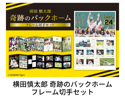 ���c�T���Y ��Ղ̃o�b�N�z�[�� �t���[���؎�Z�b�g