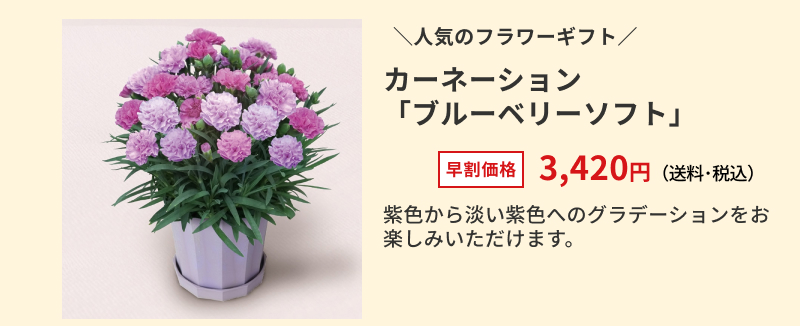 �J�[�l�[�V�����u�u���[�x���[�\�t�g�v