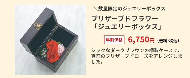 �v���U�[�u�h�t�����[�u�W���G���[�{�b�N�X�v