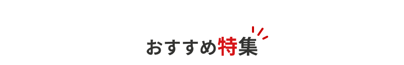 �������ߓ��W