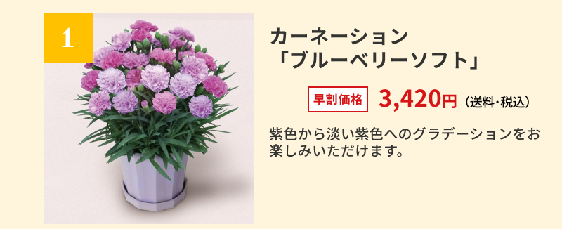 �J�[�l�[�V�����u�u���[�x���[�\�t�g�v