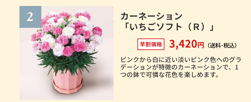 �J�[�l�[�V�����u�������\�t�g�i�q�j�v