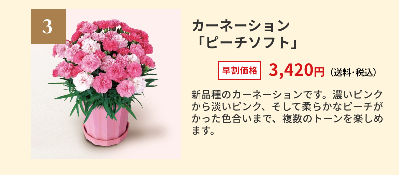 �J�[�l�[�V�����u�s�[�`�\�t�g�v