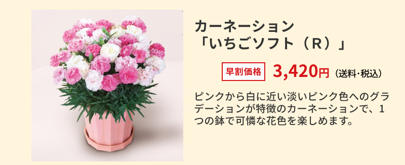 �J�[�l�[�V�����u�������\�t�g�i�q�j�v