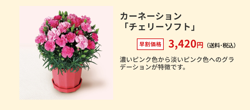 �J�[�l�[�V�����u�`�F���[�\�t�g�v