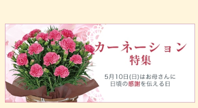 ��̓��@�J�[�l�[�V�������W