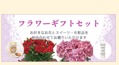 ��̓��@�t�����[�M�t�g�Z�b�g