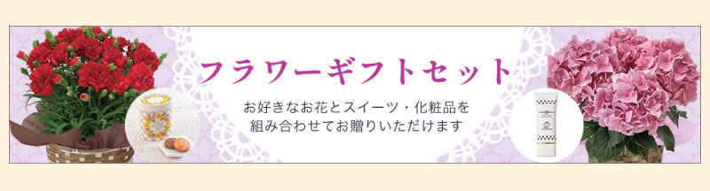 �t�����[�M�t�g�Z�b�g