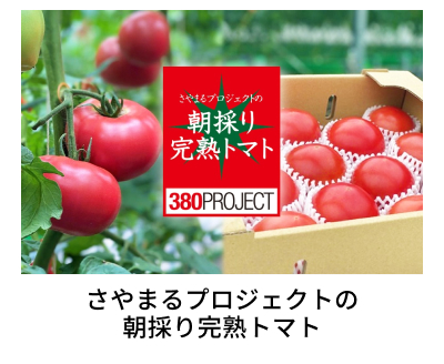 ����܂�v���W�F�N�g�̒��̂芮�n�g�}�g