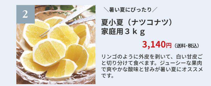 �ď��āi�i�c�R�i�c�j�ƒ�p�R����