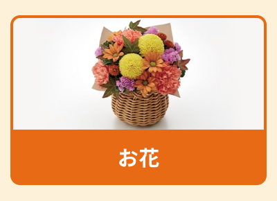 �h�V�̓� ����