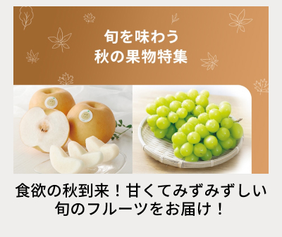 �H�̉ʕ����W