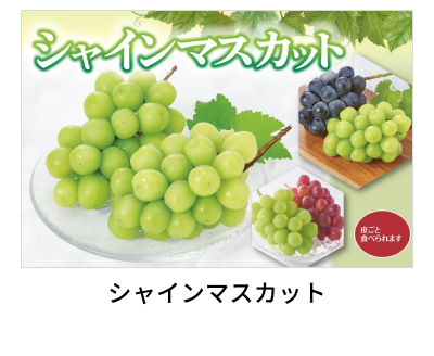 �V���C���}�X�J�b�g