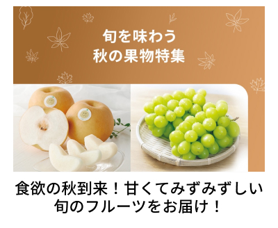 �H�̉ʕ����W