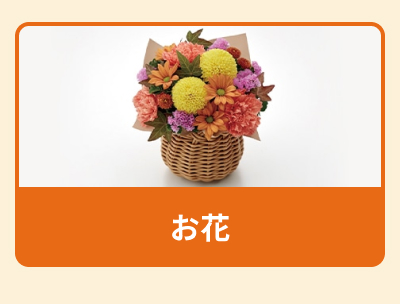 �h�V�̓� ����